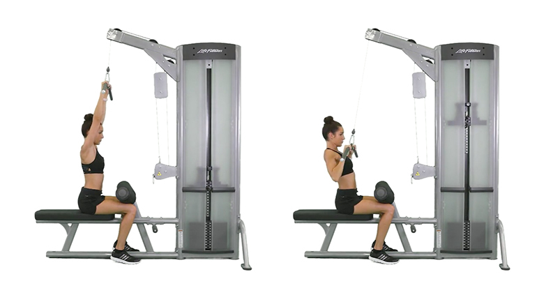 Lat Pulldown Exercise