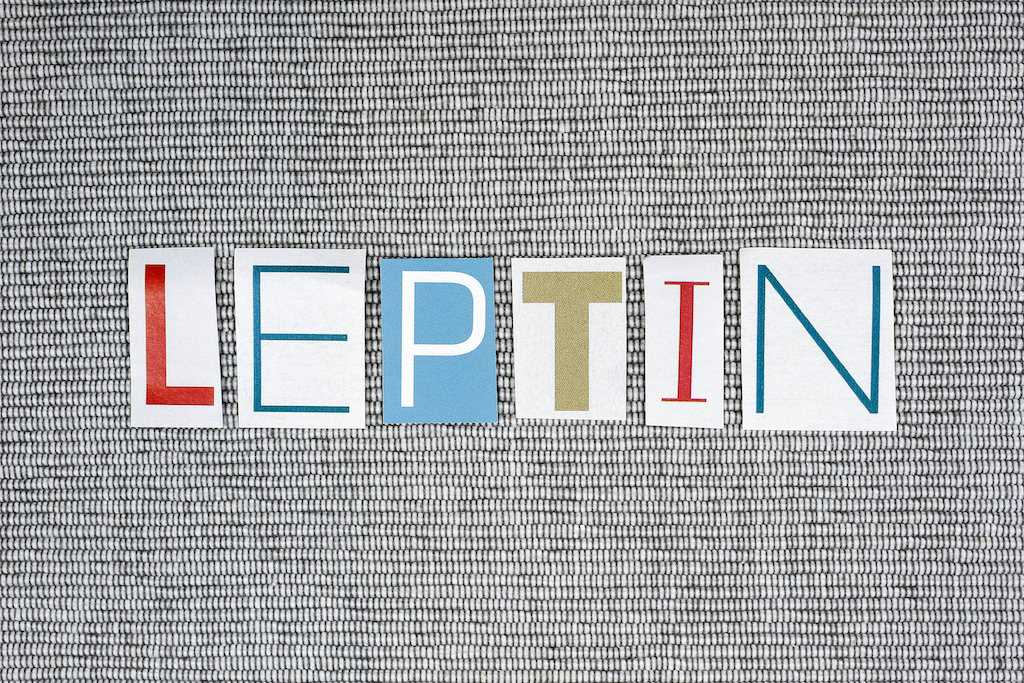 How To Increase Leptin